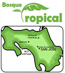 bosque tropical